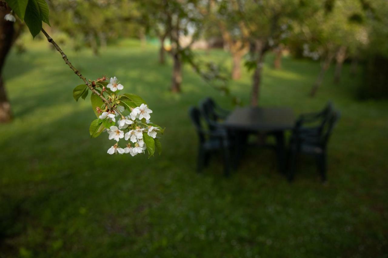 Gite Mattaincourt Dış mekan fotoğraf
